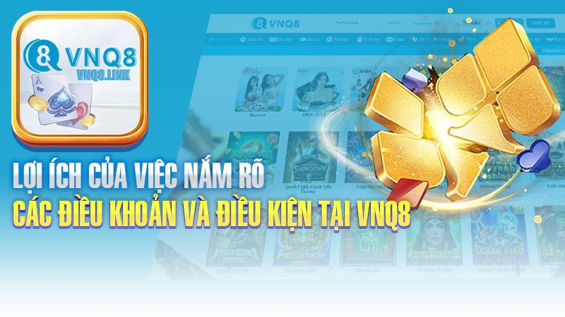 Lợi ích của việc nắm rõ các điều khoản và điều kiện tại VNQ8